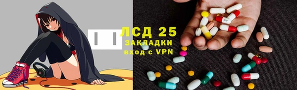 прущие грибы Алексин