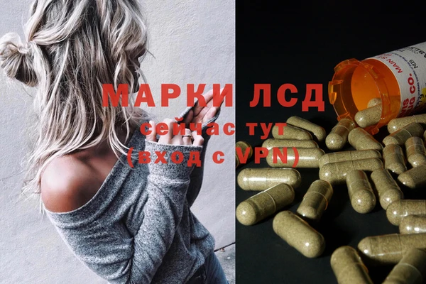 прущие грибы Алексин