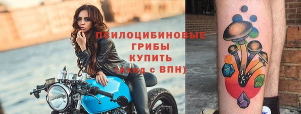 индика Алексеевка