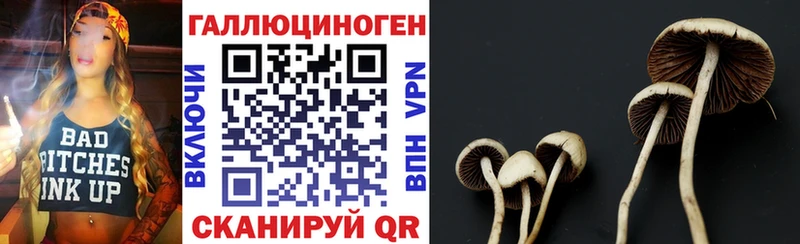 купить   mega tor  Псилоцибиновые грибы ЛСД  Артём 
